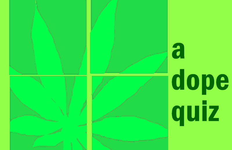 The Pot or Not Quiz