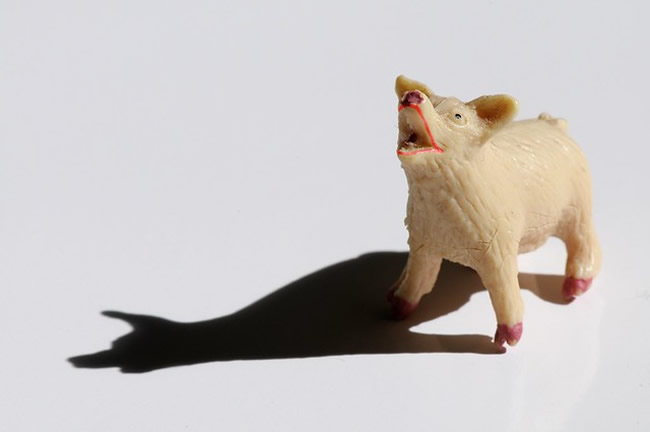 Toy pig wearing red lipstick